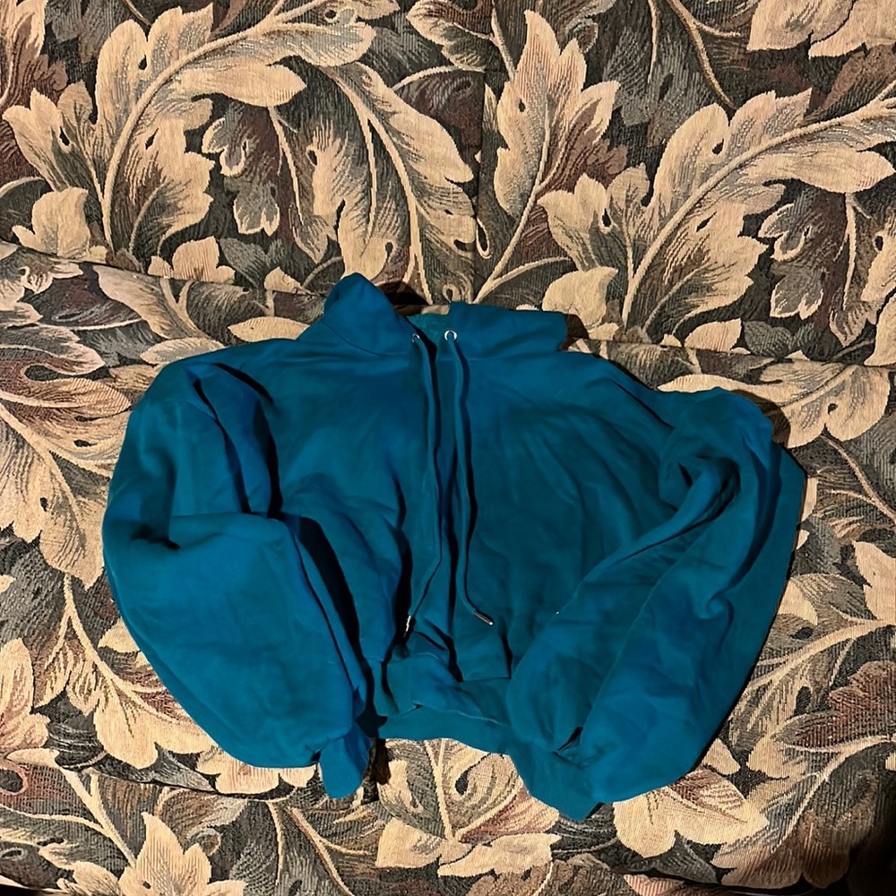 Wild fable cropped blue hoodie